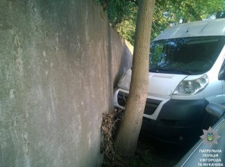 Майже смертельна доза алкоголю в крові призвела до ДТП