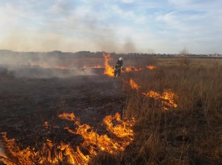 Мешканцям нагадали про важливу заборону, яка наразі діє