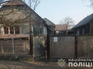 У Великих Лучках промишляли крадії