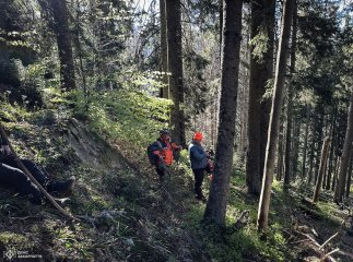 На Закарпатті десятки рятувальників шукають тіло чоловіка