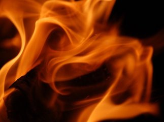 Вночі спалахнула велика пожежа. Загинуло багато свиней і курей