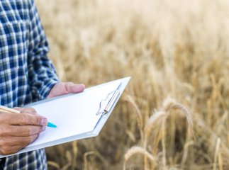 Що робити з орендованою землею, якщо власник чи орендар помер
