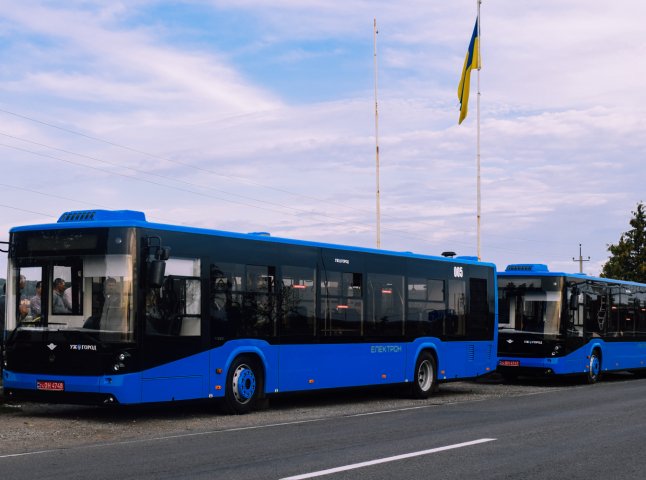 Опубліковано графік руху автобуса, який їздитиме до міського цвинтаря через площу Петефі в Ужгороді