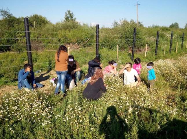 Прикордонники затримали групу нелегалів, які намагались потрапити у країни ЄС