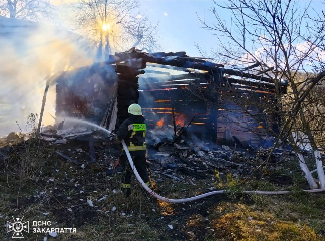 Місцеві не впоралися: вогнеборці гасили пожежу на Ужгородщині