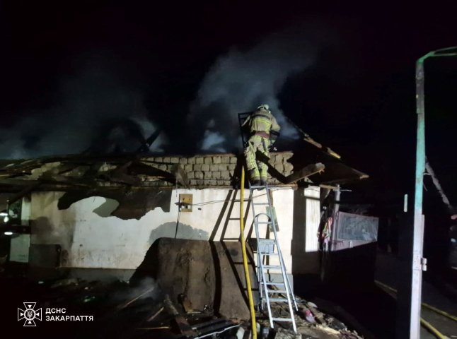 Місцеві не впоралися: на Берегівщині працювали рятувальники