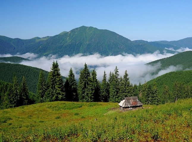 Закарпатська область входить в трійку лідерів за розвитком природно-заповідної справи