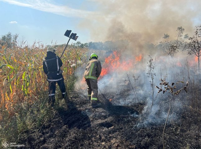 На Закарпатті масово підпалюють сухостій. Рятувальники б’ють на сполох