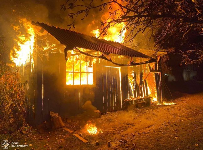 Рятувальники розповіли про пожежу, яку гасили на Хустщині