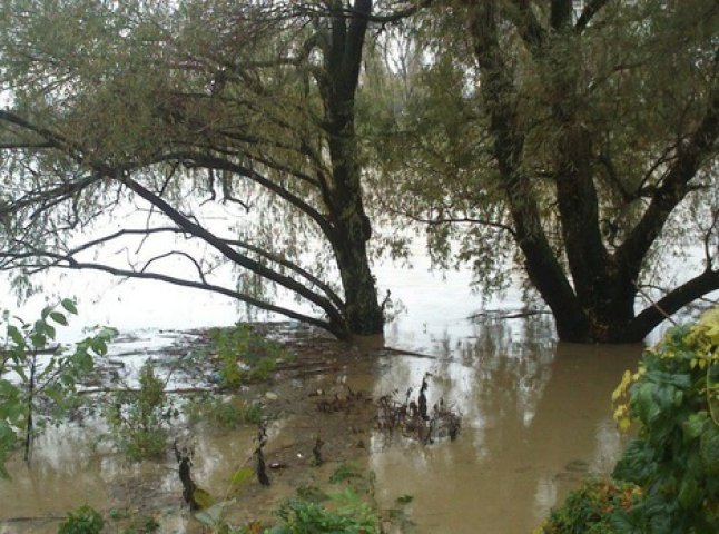 В Ужгороді вода частково підтопила Боздоський парк
