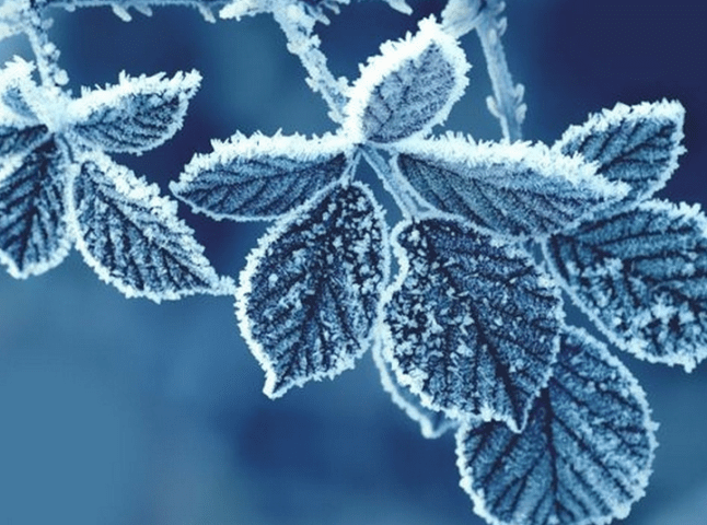 Мороз до -14: коли у листопаді очікувати холоди