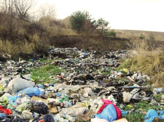 За незаконне розміщення сміттєзвалища, Нижньоворітська сільська рада буде відповідати у суді