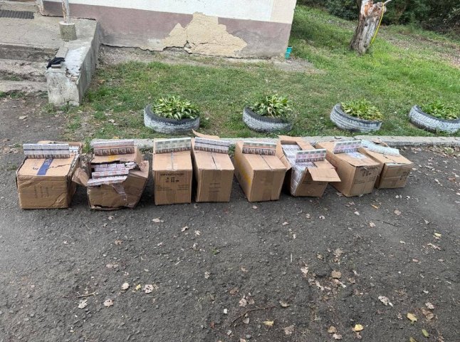 Заховали, але на Закарпатті знайшли: митники розповіли про знахідну у вагонах Заховали, але на Закарпатті знайшли: митники розповіли про знахідну у вагонах