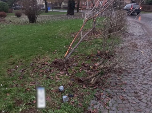В Ужгороді п’яний водій загубив на місці ДТП номерний знак