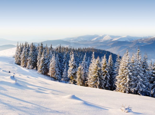 Зимові Карпати: найкращі фото з Instagram