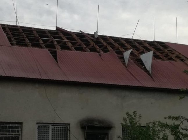 Повалені дерева, обірвані лінії електропередач, зірвані дахи: наслідки вчорашньої негоди на Закарпатті