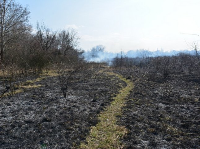 Впродовж доби вогнеборці гасили 13 пожеж в екосистемах
