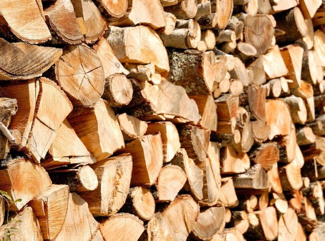 Лісівники Рахівщини звітують про небувалий попит на дрова
