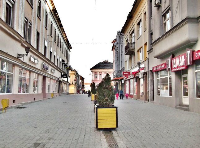 Штраф за незаконне користування землею в центрі Ужгорода сягнув 9 тисяч