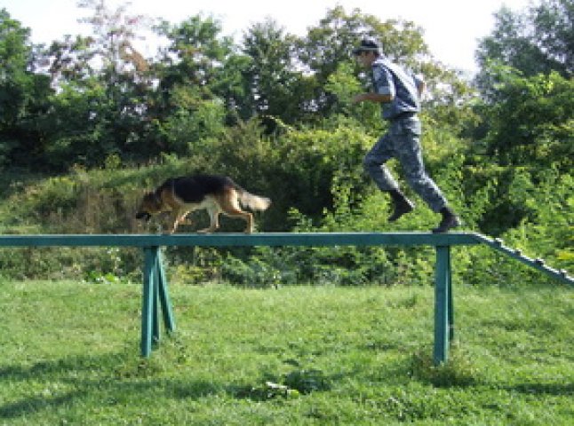 В Мукачеві міліціонери долали перешкоди разом з собаками