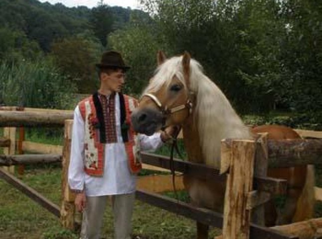 На Свалявщині стартував конкурс коней