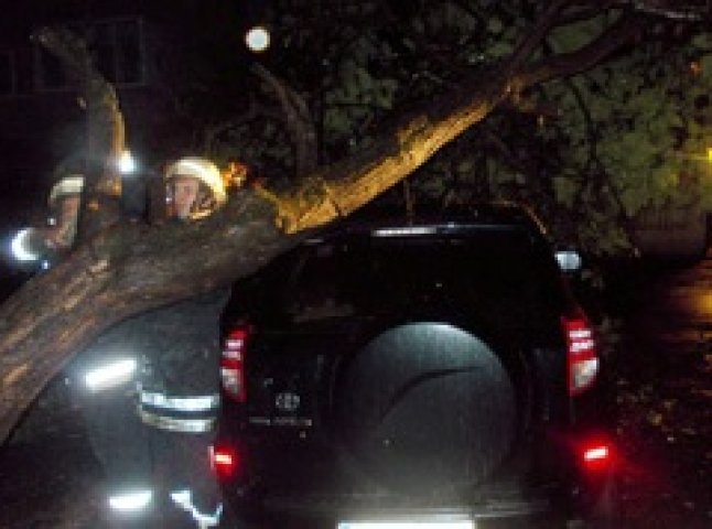  Ужгородські рятувальники вночі звільняли іномарку з-під поваленого дерева