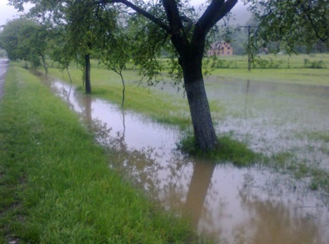Сильні дощі призвели до підтоплення двох сіл на Іршавщині (ФОТО)