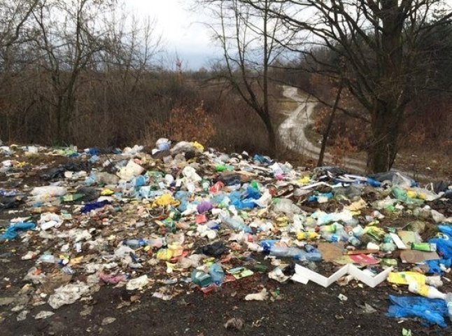 У містах та селах Закарпаття ліквідовано стихійні сміттєзвалища