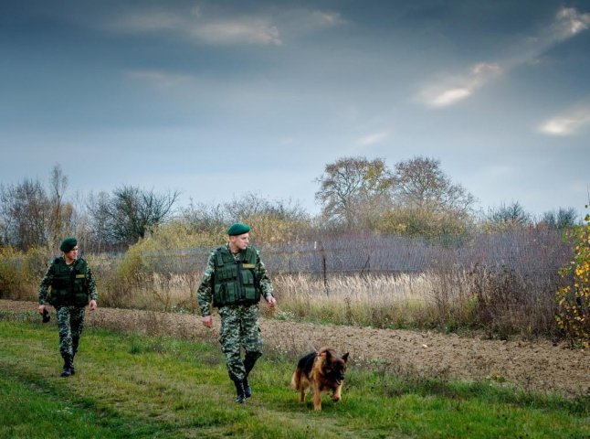 Прикордонники затримали чергових "шукачів щастя", які прямували нелегально до ЄС