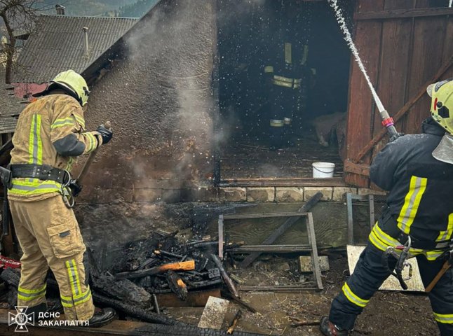 Майно та худобу рятували в двох пожежах на Мукачівщині