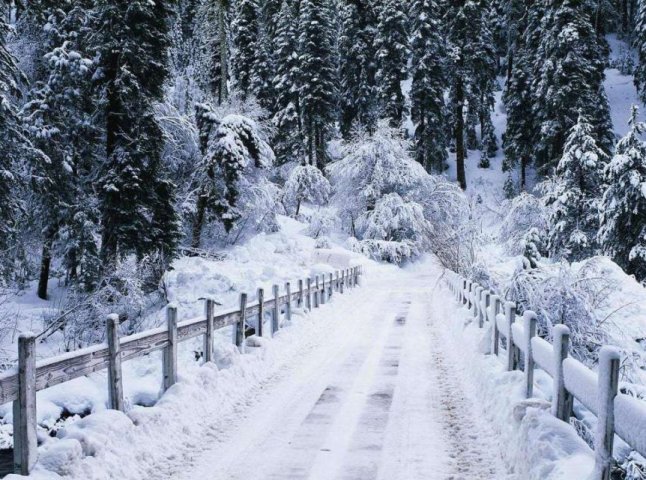 У перші дні 2019 року на Закарпатті очікуються сильний сніг, хуртовини і ожеледиця