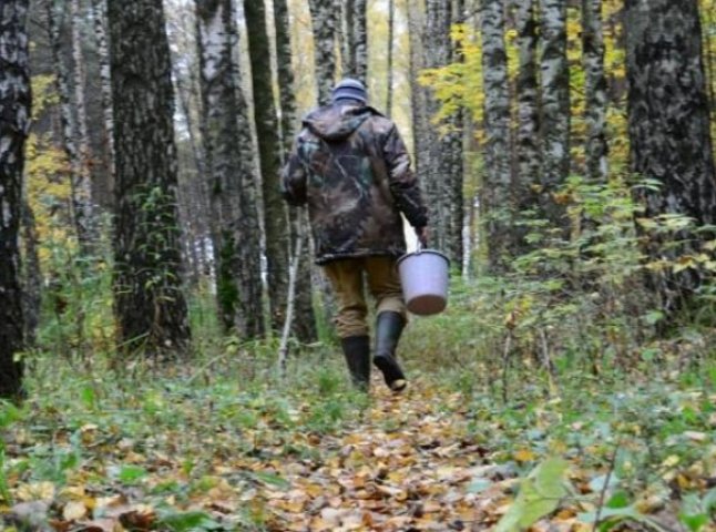 На Ужгородщині молодий чоловік пішов по гриби і зник