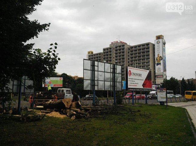 Ранок в Ужгороді почався із вирізання дерева біля універмагу "Україна"