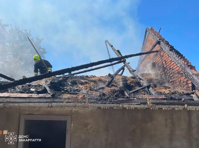 Ґазда рятував худобу, а вогнеборці — будівлю: на Тячівщині вирувала пожежа