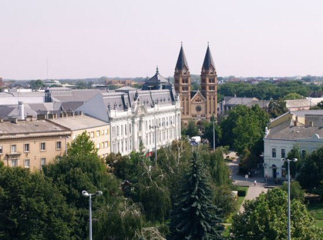 Мери закарпатських міст разом з головою облради вивчають досвід угорської Ніредьгази