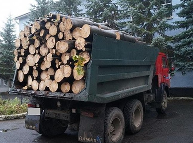 Перечинські поліцейські затримали жителя Великоберезнянщини, який без документів перевозив дрова