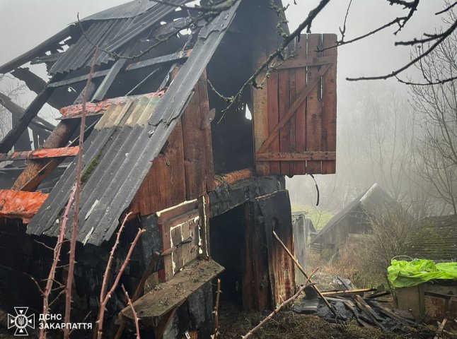 У селі на Рахівщині вирувала пожежа. Загинули свійські тварини