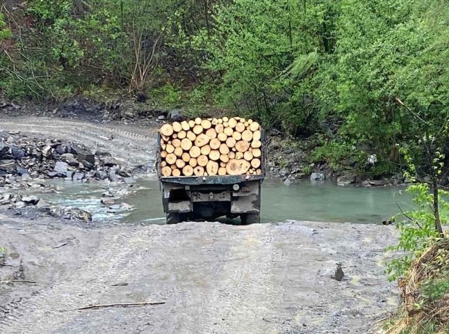 На Тячівщині зафіксували порушення природоохоронного законодавства