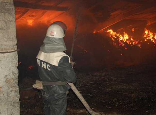 На Мукачівщині через пожежу на свинофермі загинуло 100 свиней