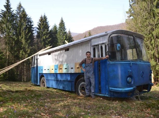 На околиці Колочави зі старого автобуса ЛАЗ зробили гігантський вулик