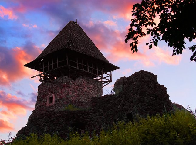 Гроші на реставрацію "Невицького замку" збиратимуть за допомогою мистецтва