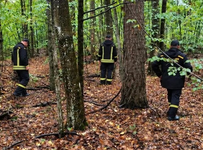 На Закарпатті знайшли чоловіка, який добою раніше зник у лісі