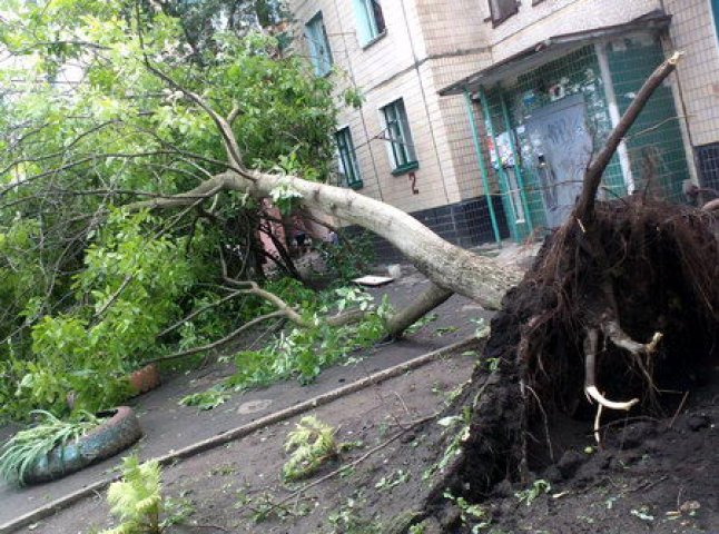 Сильний дощ та шквальний вітер цієї ночі наробили чимало лиха по всьому Закарпаттю