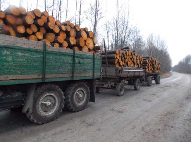 У Свалявському районі затримали вантажівку з "лівим" лісом