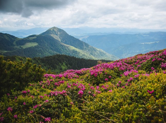 Понад 200 тисяч туристів відвідали національні парки Закарпаття
