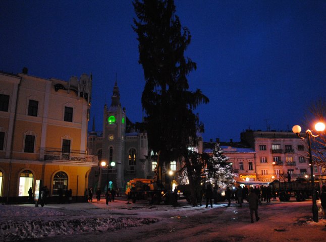 На центральній площі Мукачева встановили новорічну ялинку