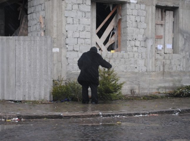 У Мукачеві попри заборону стихійно продають ялинки (ФОТО)
