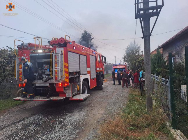 Рятувальники показали наслідки пожежі у селищі на Закарпатті
