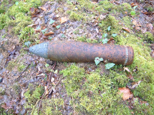 Мешканці Хуста знайшли ручну гранату часів Першої світової війни
