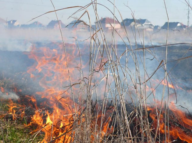 Через загорання сухостою на Закарпатті вигоріло 860 гектарів землі